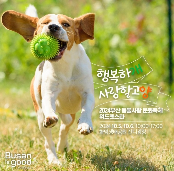 Busan, Taean, Pocheon… Local government rolls up its sleeves to become a ‘pet-friendly city’