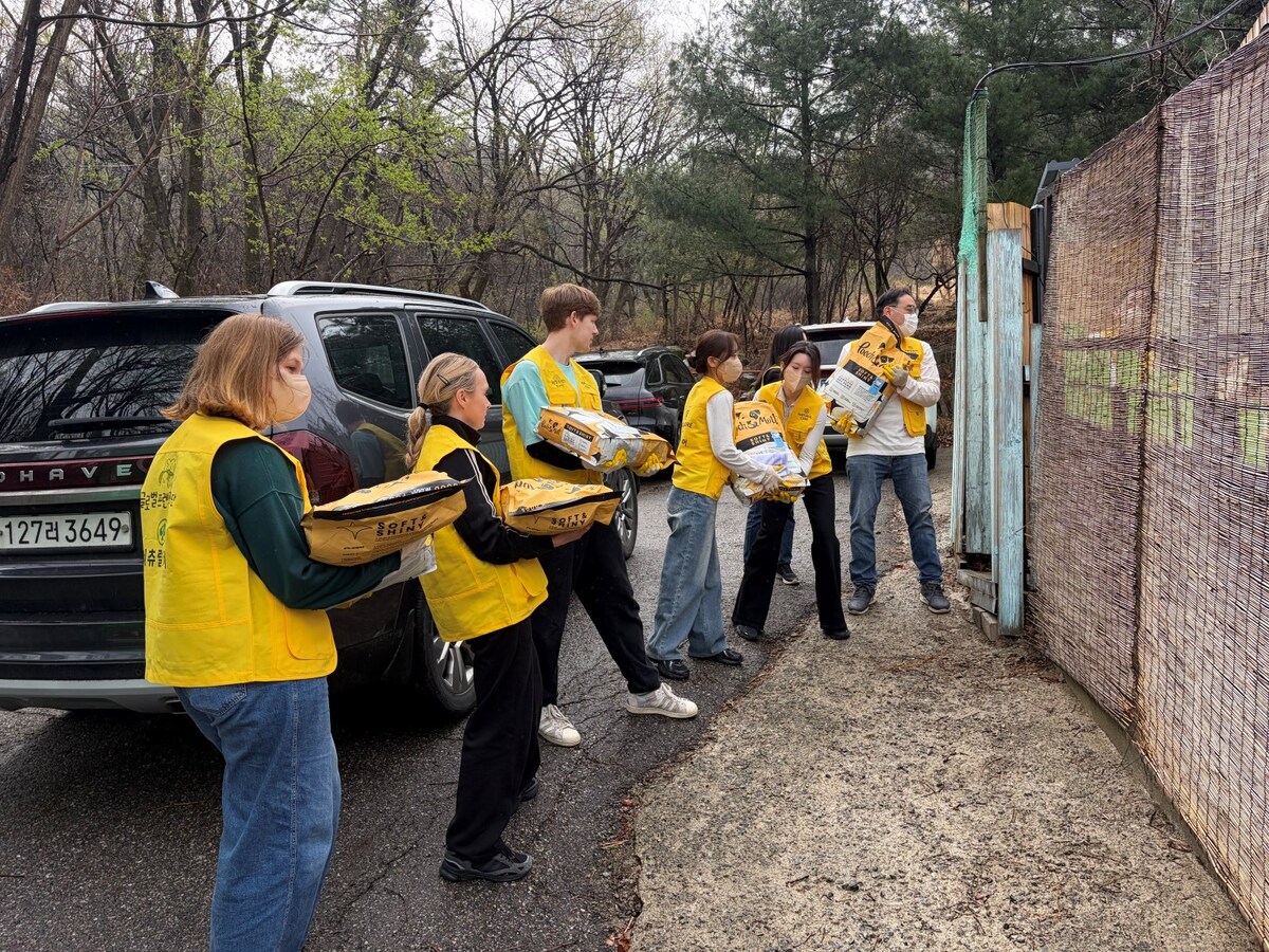글로벌 프렌드 봉사단이 네츄럴코어 임직원들과 함께 기부 사료를 옮기고 있다. 네츄럴코어는 이날 사료 260kg을 기부했다. 네츄럴코어 제공
