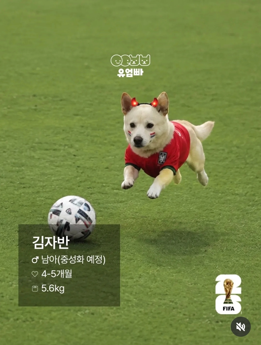 김해에서 발견된 구조견이 월드컵 경기장을 찾은 것처럼 꾸며진 AI 이미지.&nbsp;유엄빠 제공