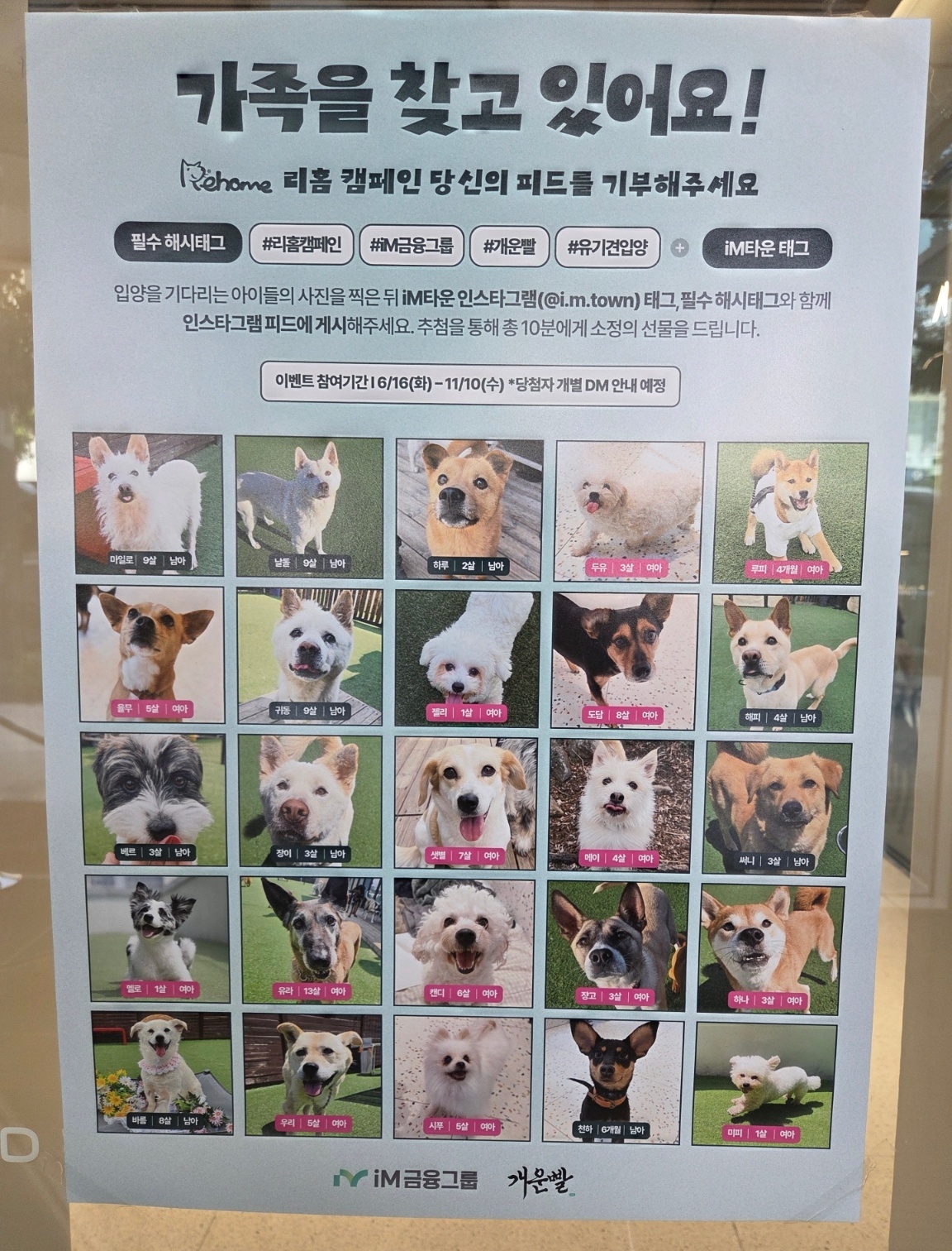 서울 iM금융센터 입구에 도그어스플래닛 구조견들의 입양 홍보 포스터가 붙어 있다. 박재림 기자