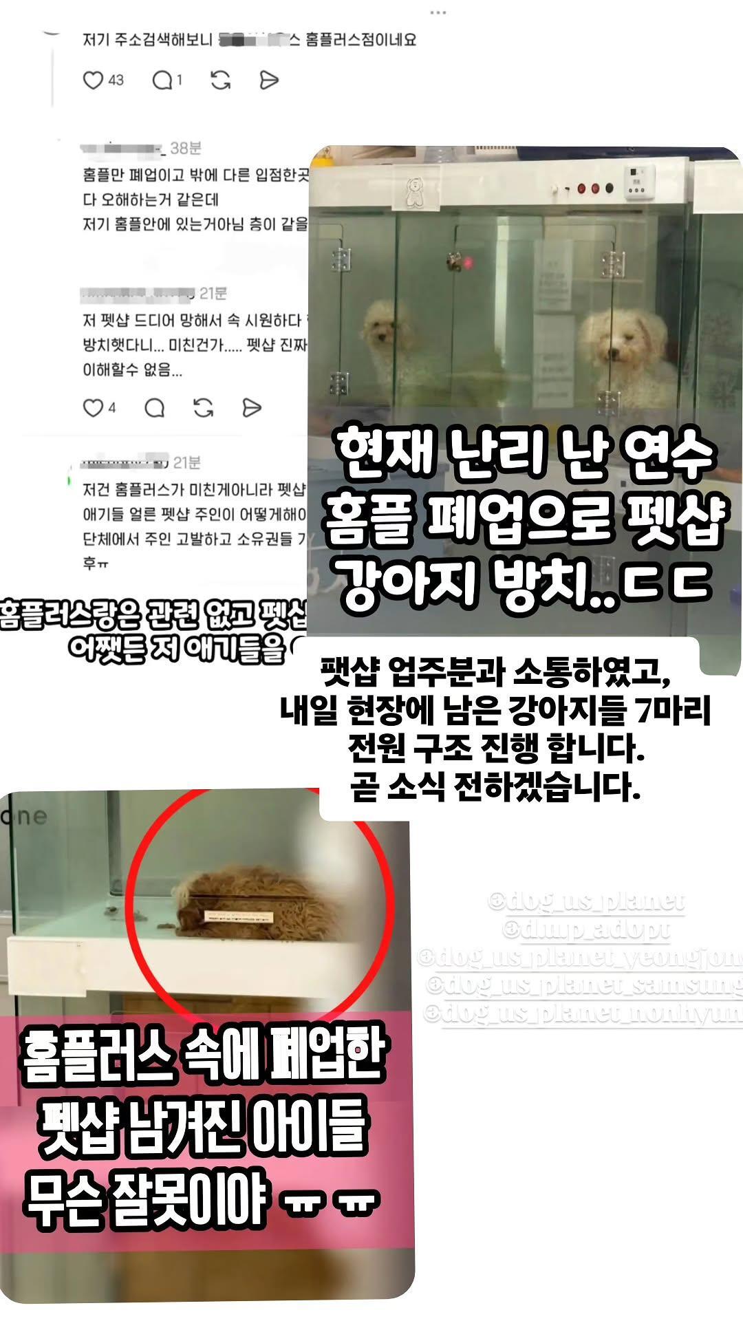 홈플러스 인천 연수점 내부 펫숍에 방치된 강아지의 구조를 알리는 도그어스플래닛 SNS 갈무리.