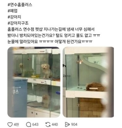 홈플러스 인천연수점 내 펫숍에서 강아지들이 방치되고 있는 것 같다는 내용의 SNS 게시물 갈무리