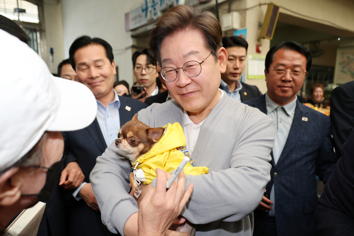 뉴시스