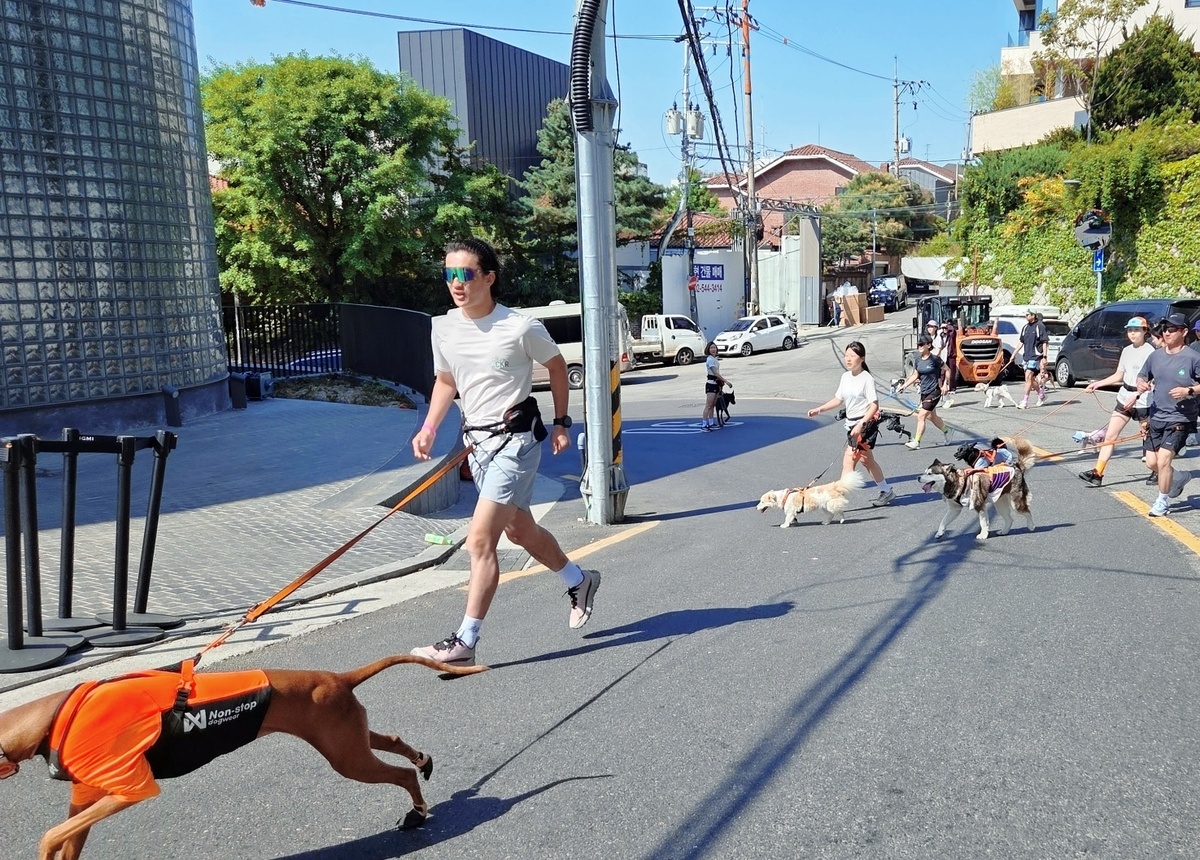 든든런에 참가한 반려견들이 보호자와 함께 달리고 있다. 박재림 기자