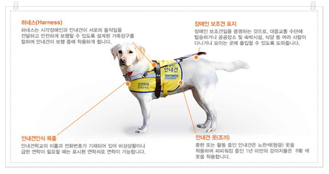 시각장애인 안내견임을 알리는 표식들. 삼성화재 안내견학교 홈페이지 갈무리
