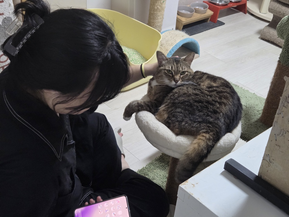 봉사자 미소 씨가 길냥이와 동고동락의 고양이 미소와 교감하고 있다. 박재림 기자