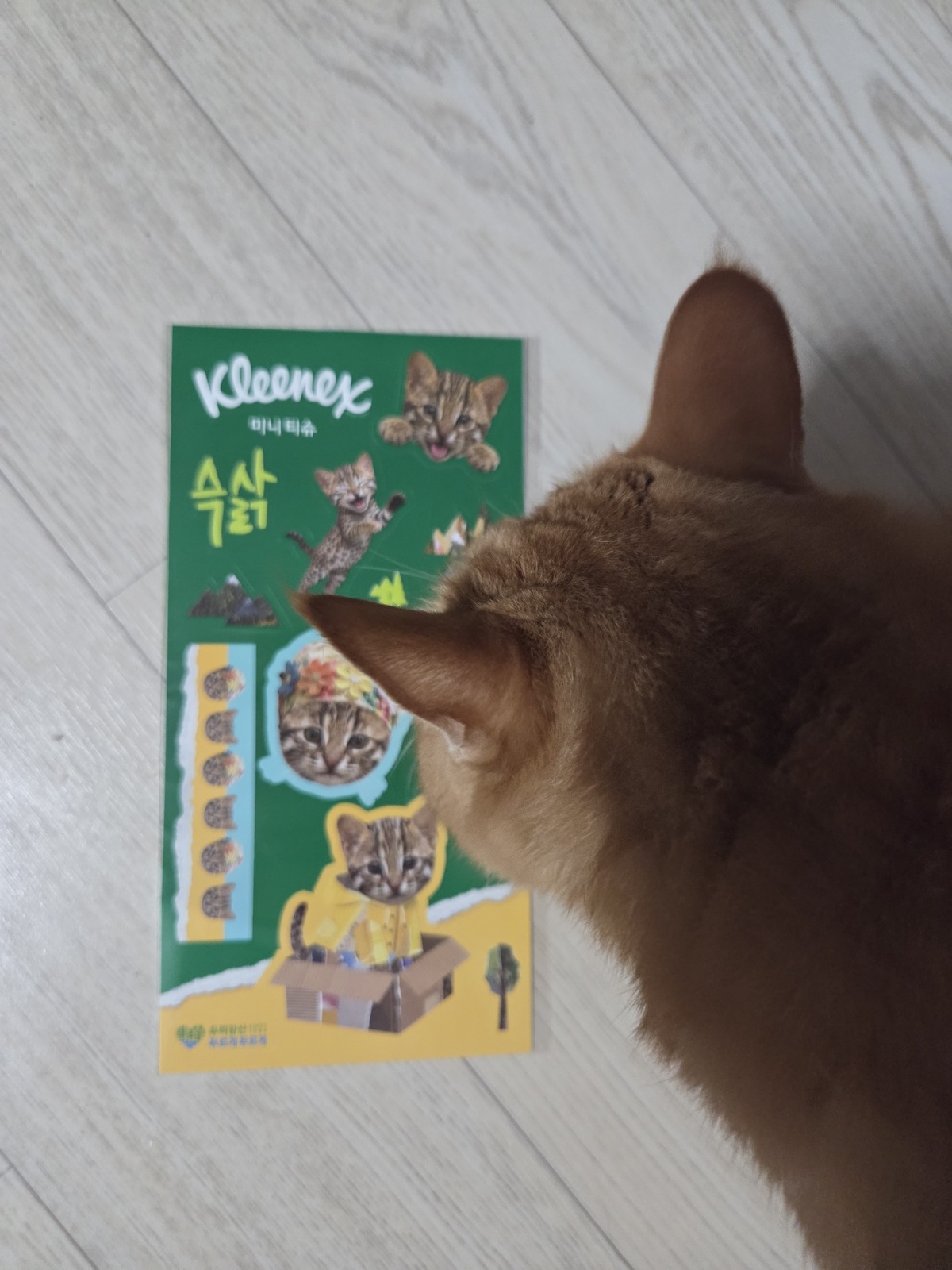 크리넥스 슥삵 에디션 제품과 함께 동봉된 스티커. 박재림 기자