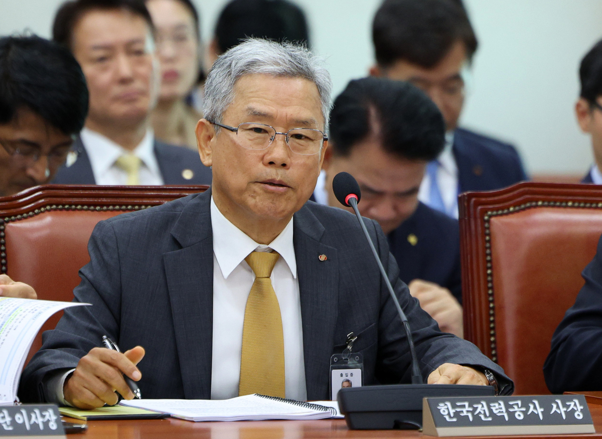 김동철 한국전력공사 사장이 12일 서울 여의도 국회에서 열린 산업통상자원중소벤처기업위원회 국정감사에서 의원 질의에 답변하고 있다. 뉴시스
