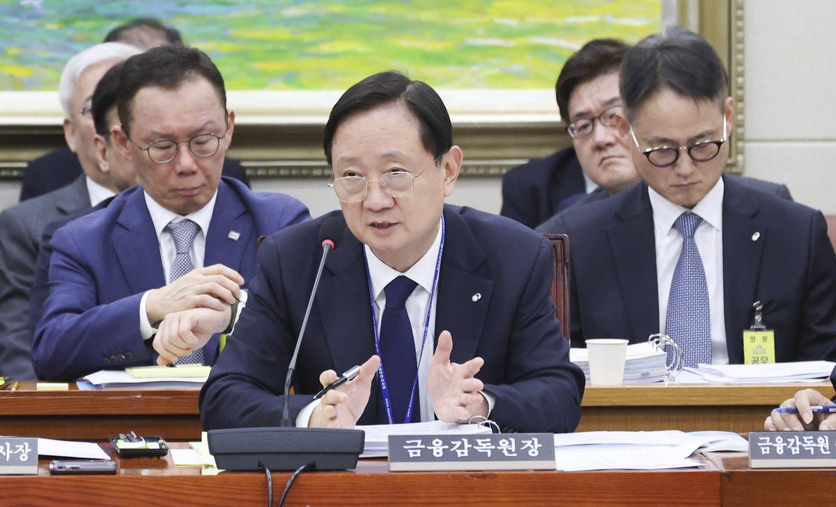 이찬진 금융감독원장이 19일 여의도 국회에서 열린 정무위원회의 금융감독원 등에 대한 국정감사에 출석해 의원 질의에 답하고 있다. 뉴시스