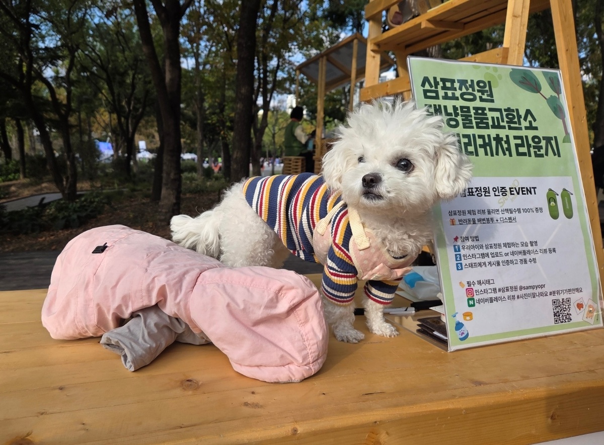 서울숲 삼표정원의 댕냥물품교환소에서 반려견 코코가 기부품 패딩 옆에 앉아 있다. 박재림 기자